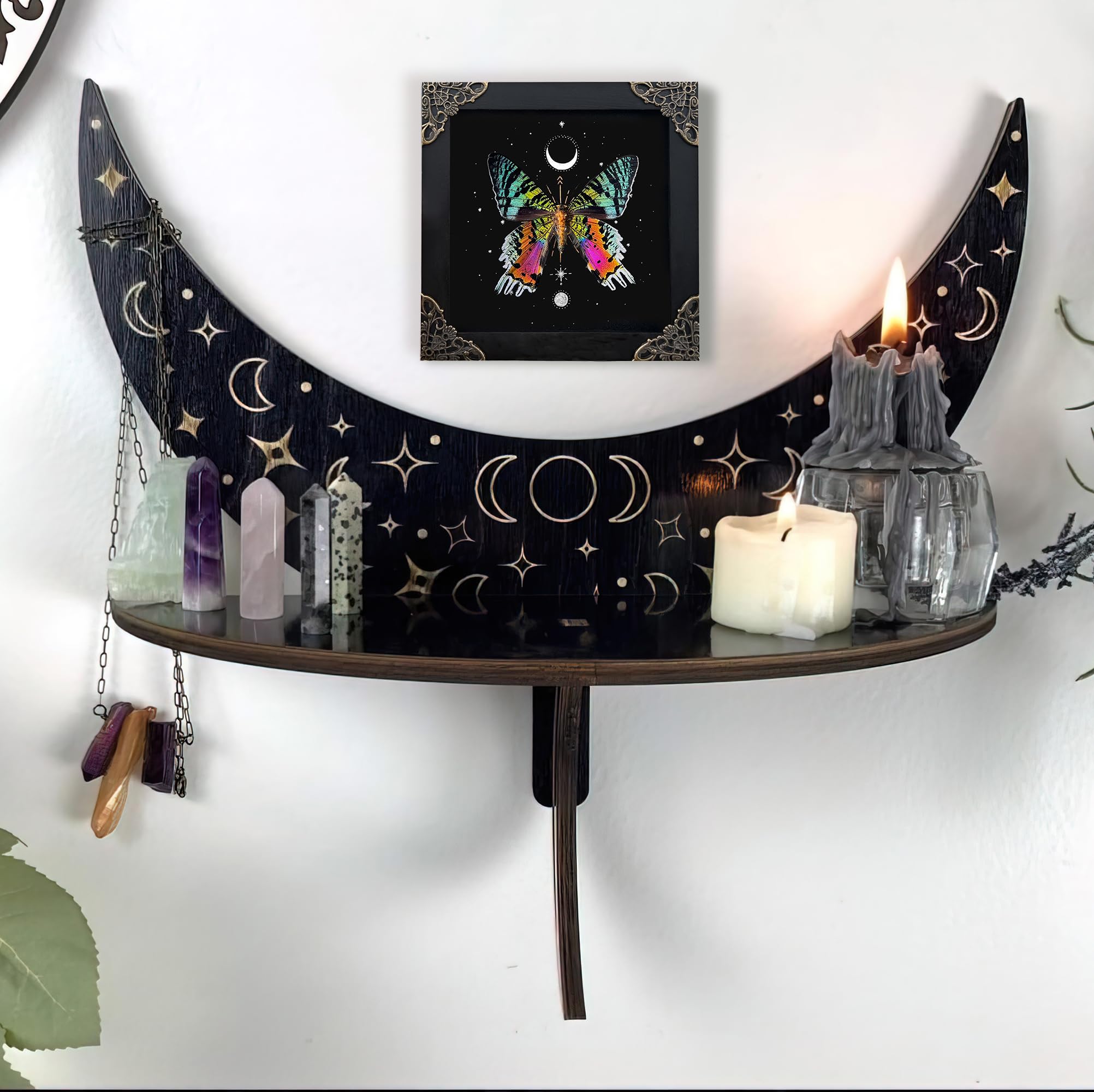 Real Sunset Moth Butterfly Astronomy Taxidermy Victorian Witchy Insect Frame Dried Bug Shadow Box Specimen Room Display Birthday